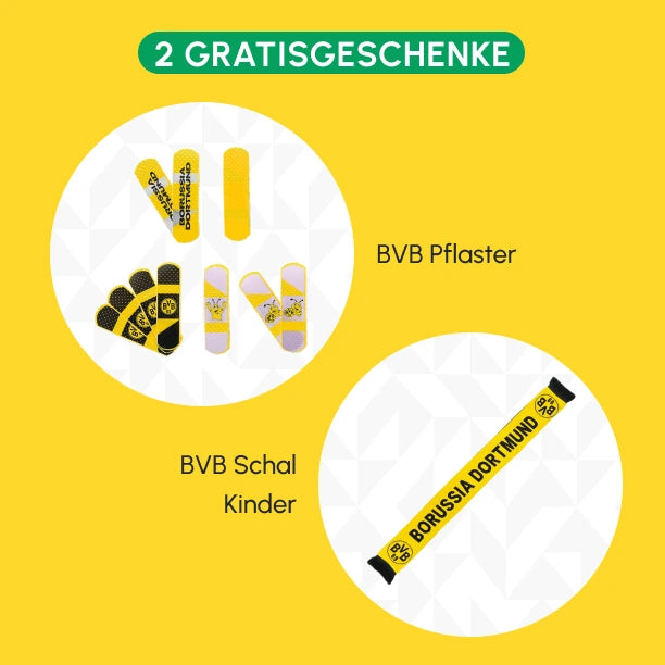 Paquete de Música del BVB