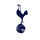 Tottenham Hotspur
